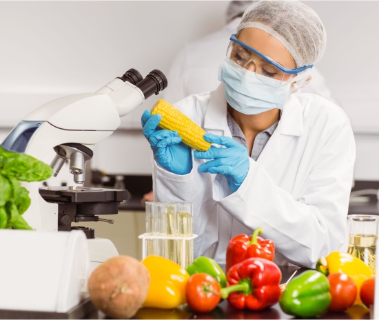 Food Safety Standards