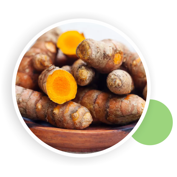 Fresh Turmeric