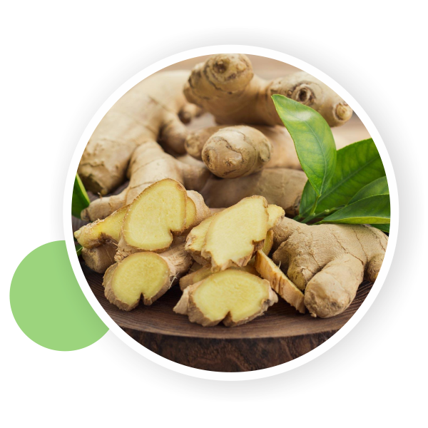 Fresh Ginger