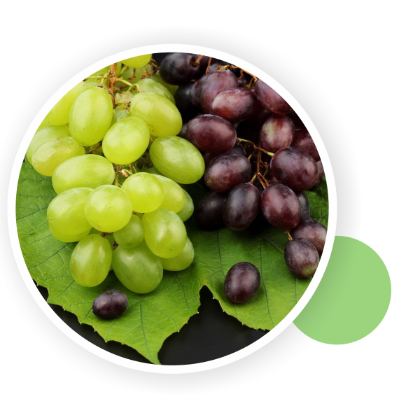 Grapes