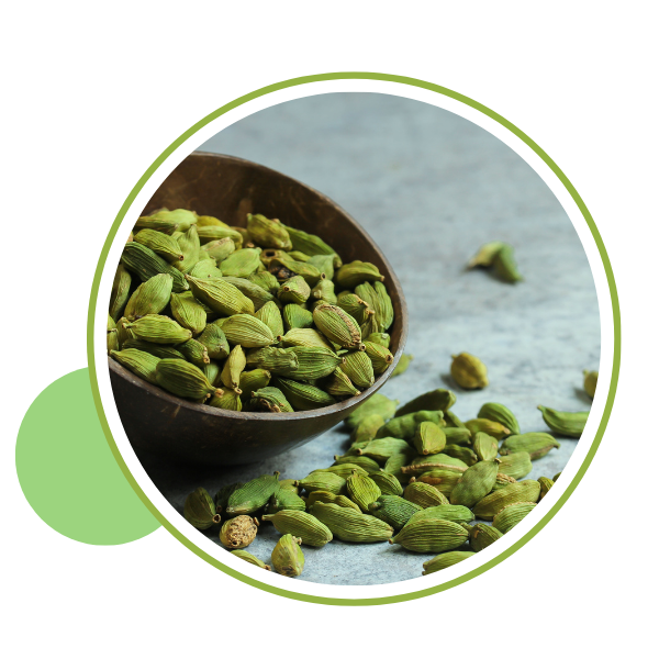 Green Cardamom